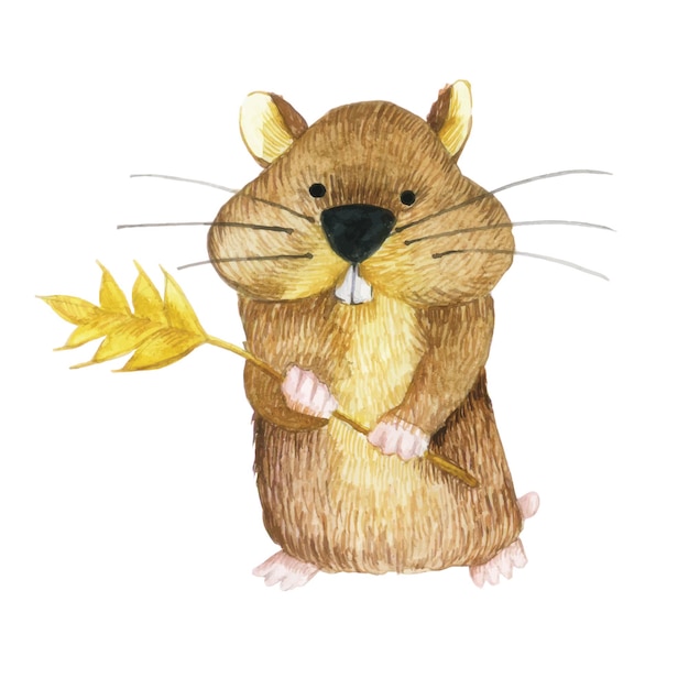 watercolor drawing clipart cute hamster character children's illustration forest animal hamster