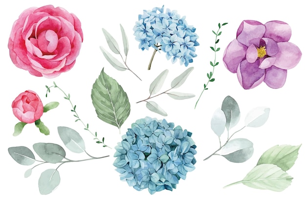 꽃과 잎의 수채화 그리기 컬렉션 분홍색 파란색 보라색 장미 수국과 목련