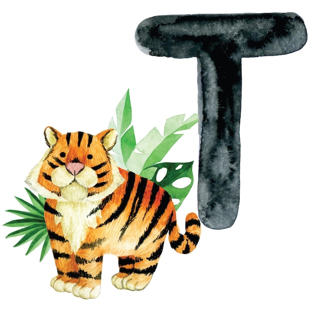 watercolor drawing. Education card with letter T, English alphabet. Letter T and tiger illustration
