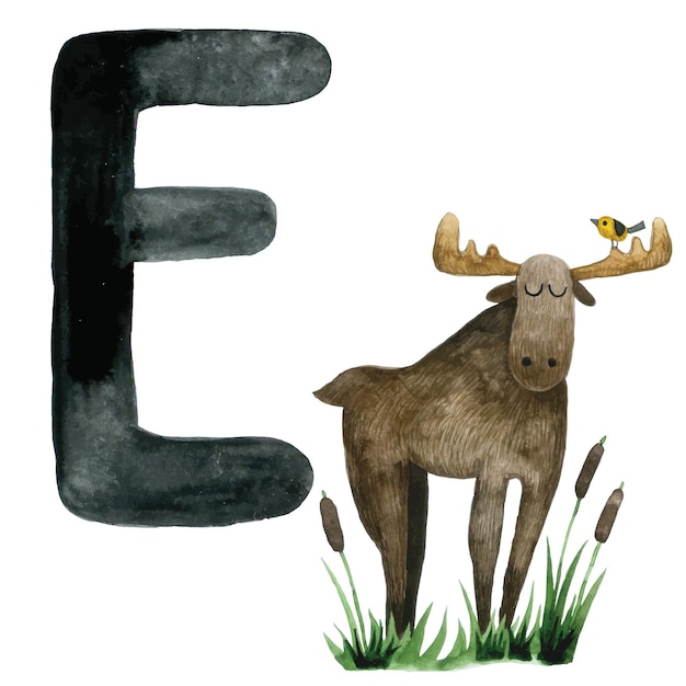 水彩画。文字E、英語のアルファベットの教育カード。文字Eとエルク