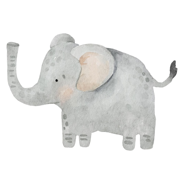 A watercolor drawing of an elephant with a large trunk