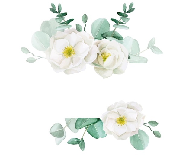 ユーカリの葉と野生のバラの牡丹の白い花の水彩画の描画フレーム