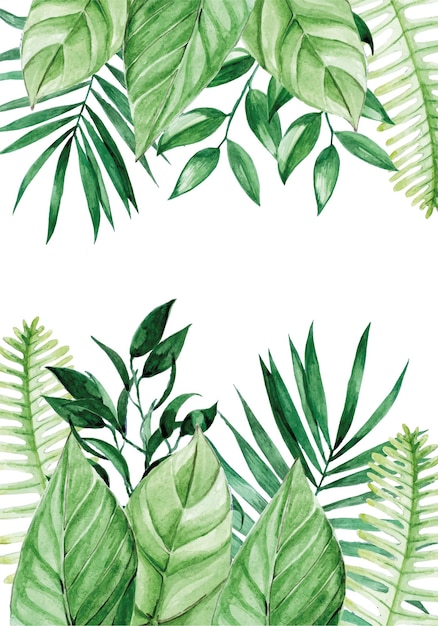 Вектор Акварельная рамка для рисования с тропическими листьями