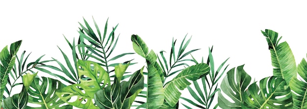 watercolor drawing. horizontal seamless border with tropical leaves. banner with green palm leaves