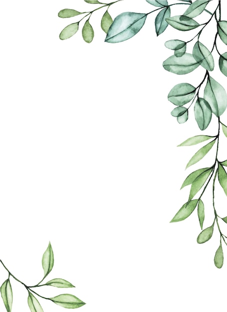 Вектор Акварельный рисунок прямоугольная рамка из прозрачных листьев эвкалипта