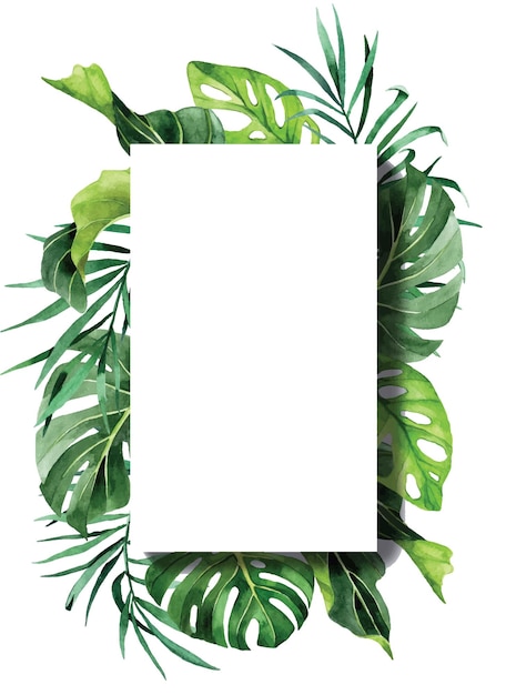 Vector watercolor drawing. rectangular frame with tropical palm leaves, monstera banana.