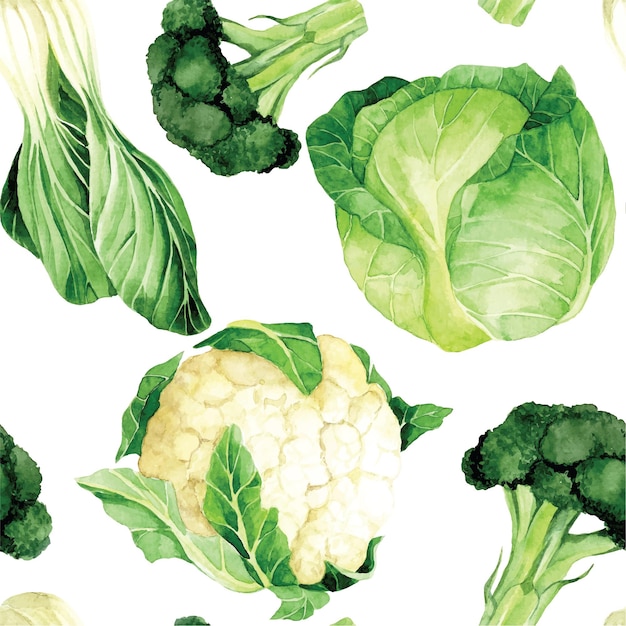 watercolor drawing seamless pattern cabbage cauliflower broccoli lettuce green vegetables