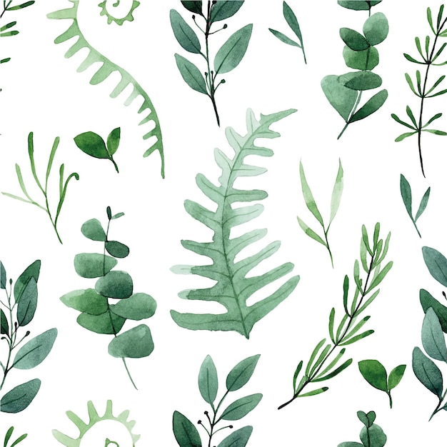 watercolor drawing seamless pattern forest leaves and herbs print green leaves of fern eucalyptus