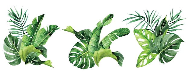 watercolor drawing. set of bouquets, compositions with tropical leaves. rainforest leaves, palm