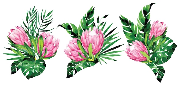 акварельный рисунок. набор букетов из тропических цветов и листьев. розовые цветы протеи и монстера