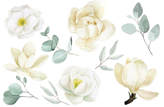 watercolor drawing. set with white flowers and leaves. delicate illustration with magnolia and rose