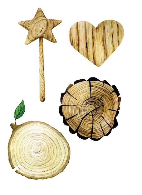 Vector watercolor drawing set of wooden elements cut wood a heart and a magic wand made natural