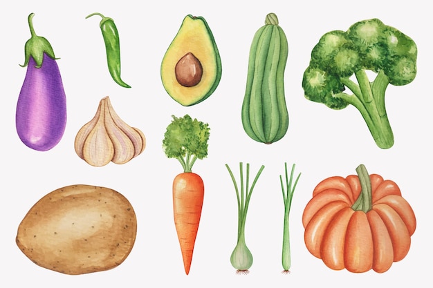 Vector a watercolor drawing of vegetables including broccoli, carrots, broccoli, and a pumpkin.