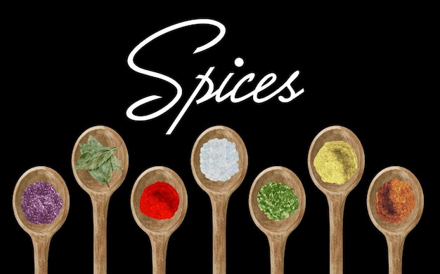 Vector watercolor dry kitchen spices in wooden spoon pepper chili curcuma ginger cardamom nutmeg on black background