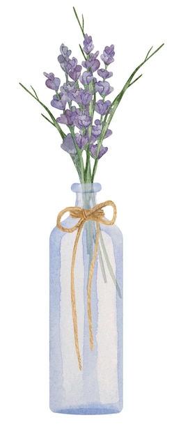 Watercolor dry lavender pampas in blue glass vase with rope twine