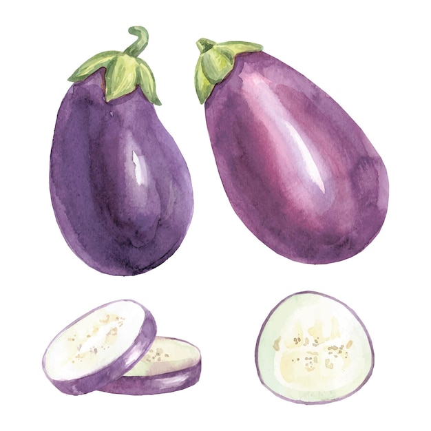 Watercolor eggplant pattern Colored vegetables