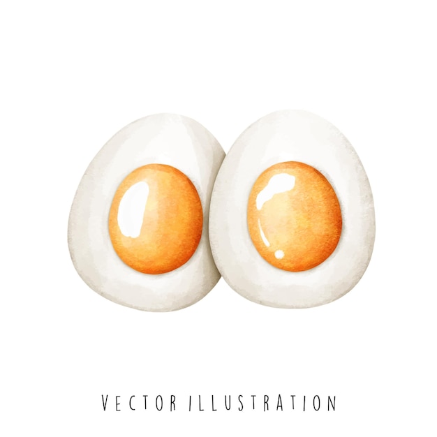 watercolor of eggs