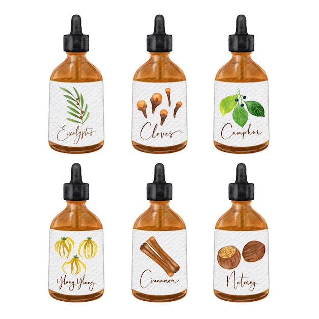 Vector watercolor essential oil bottle collection