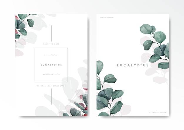 Watercolor eucalyptus background template vector design set suitable for print job card background and etc