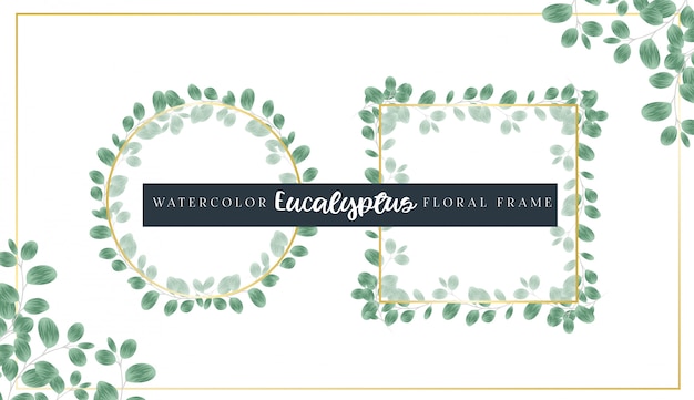 Watercolor Eucalyptus Floral Frames