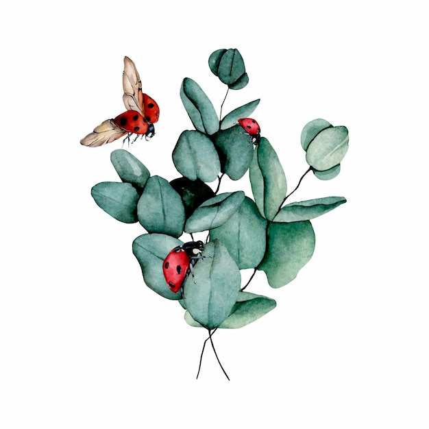 Watercolor eucalyptus and ladybug