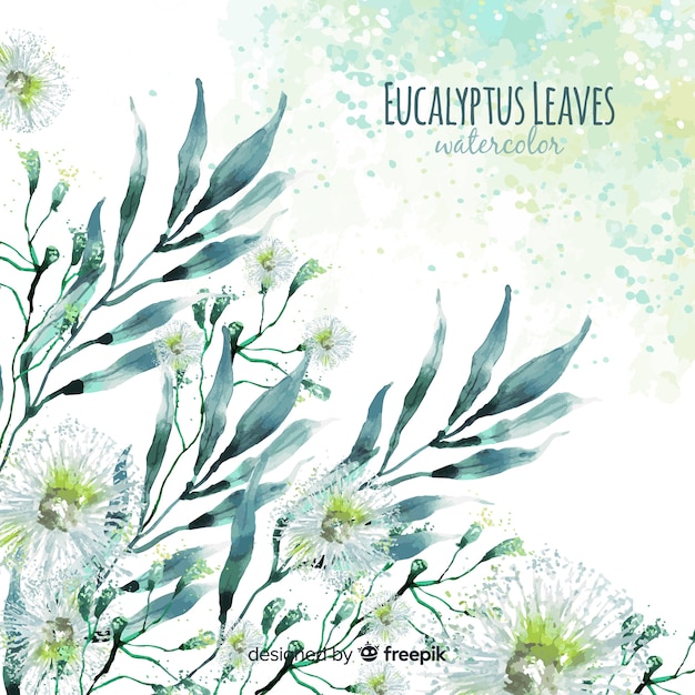 Watercolor eucalyptus leaves background