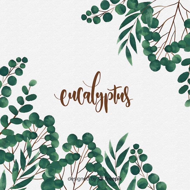 Vector watercolor eucalyptus leaves background