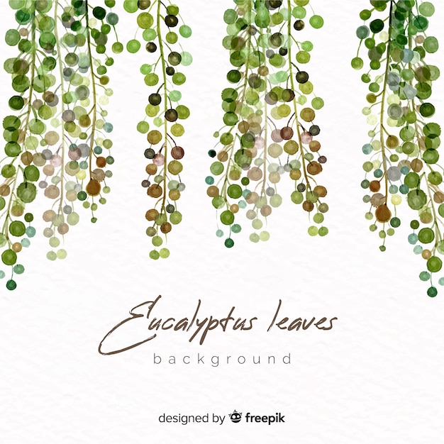 Watercolor eucalyptus leaves background