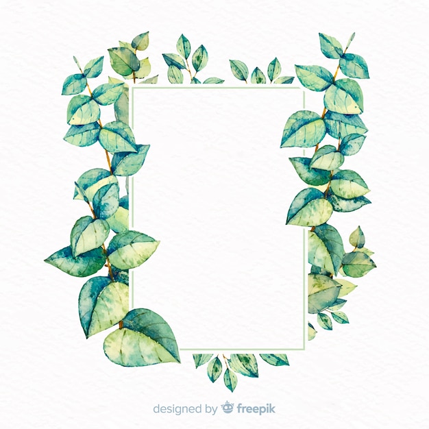 Watercolor eucalyptus leaves background