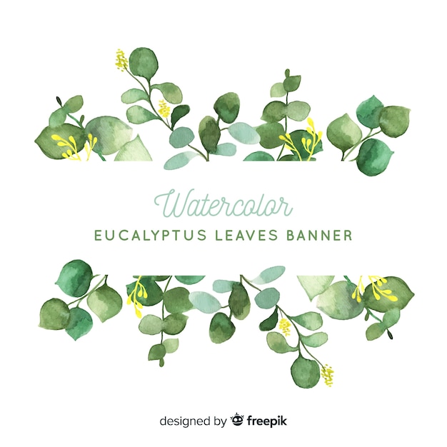 Vector watercolor eucalyptus leaves background