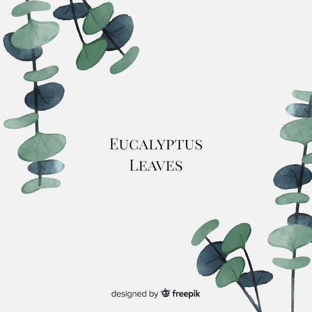 Vector watercolor eucalyptus leaves