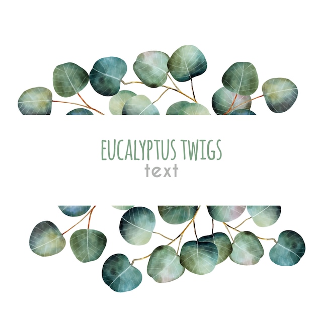 Watercolor eucalyptus twigs frame