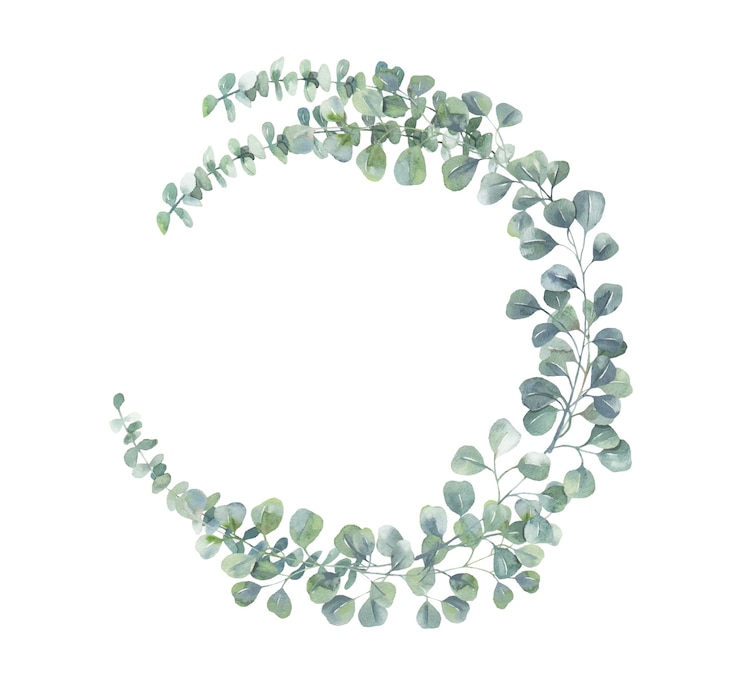 Vector watercolor eucalyptus wreath.