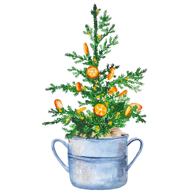 Vector watercolor evergreen christmas tree decorated with oranges in the pot scandinavian design clipart