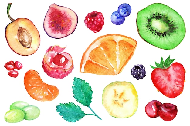 Набор акварельных экзотических фруктов и ягод изолированный вектор
