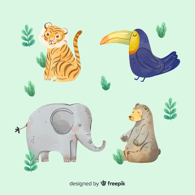 Watercolor exotic tropical animal collection