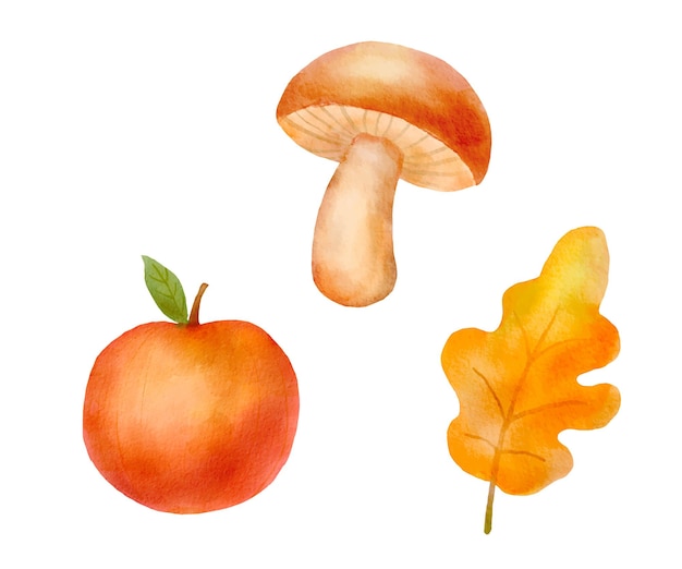 Vector watercolor fall set with leaf apple and mushroom