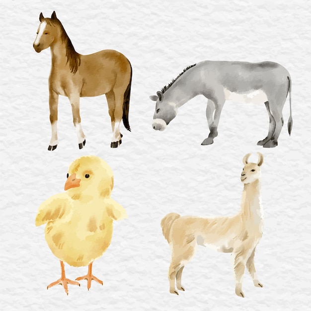 Vettore collezione di clip art per elementi di animali da fattoria dell'acquerello