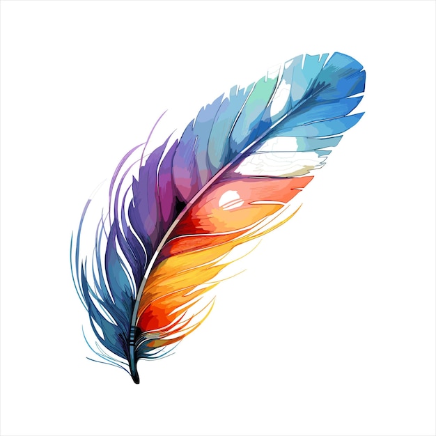 Watercolor feather isolated on white background