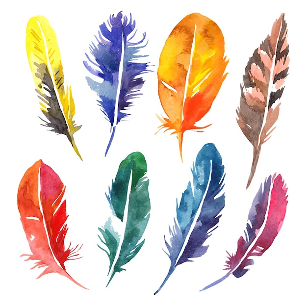 Watercolor feather set. Hand drawn vector illustration