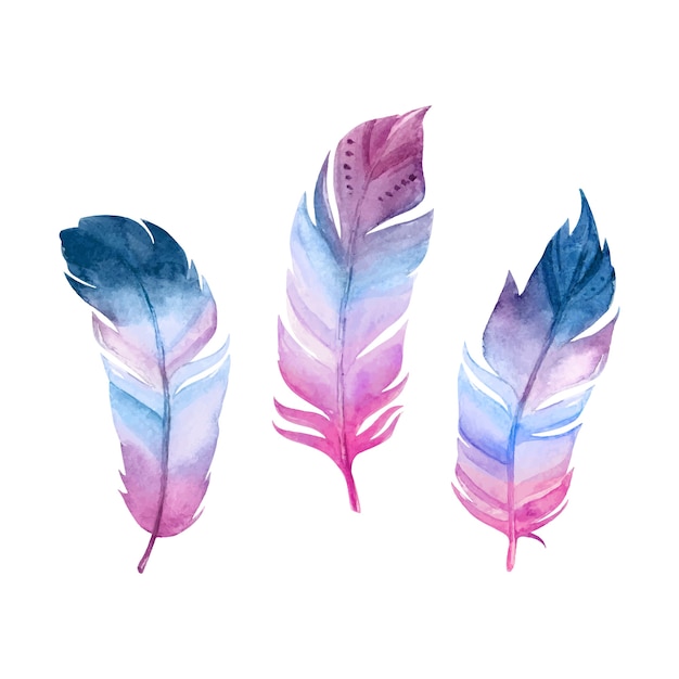 Watercolor feather