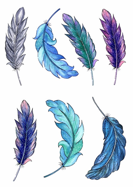 Watercolor feathers clipart illustration bundle