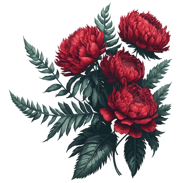 Watercolor fern leaf peony red clipart floral vector