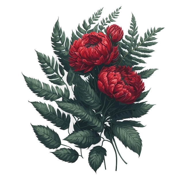 Watercolor fern leaf peony red clipart floral vector