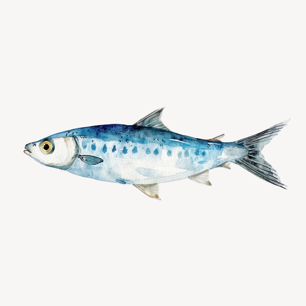 watercolor fish illustration of a blue fish fish with blue scales fish fins and fish eyes