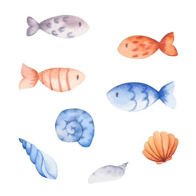 Watercolor fish and shell set. For children design, print or background.