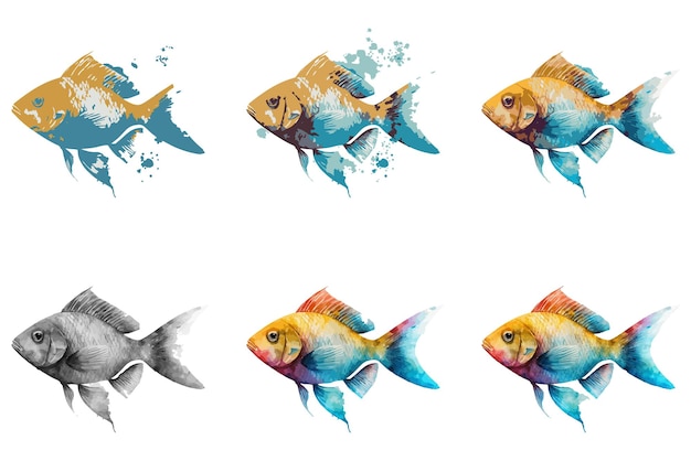 watercolor fish vector illustration