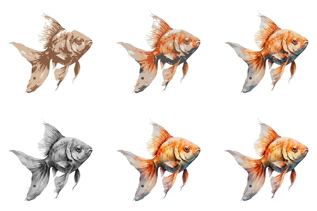 watercolor fish vector illustration