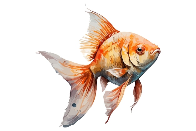 watercolor fish vector illustration