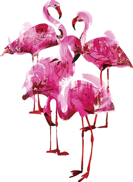 Vector watercolor flamingos